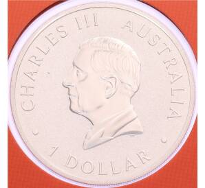 1 доллар 2025 года Австралия «Австралийская коала» (в конверте) — Фото №2