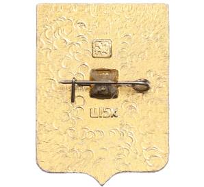 Значок «Герб города Каргополь» — Фото №2