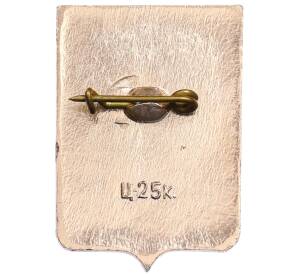 Значок «Герб города Демянск» — Фото №2