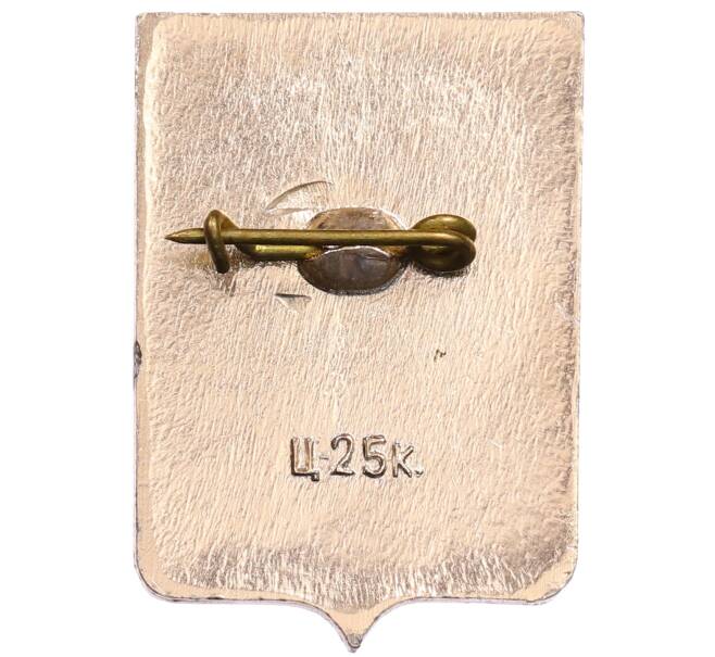 Значок «Герб города Демянск» (Артикул: K8-0360) — Фото №2