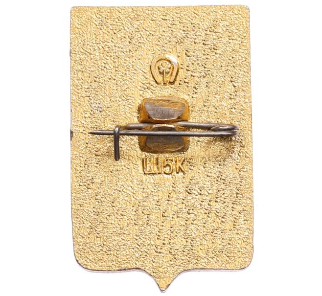 Значок «Герб города Ростов-Дон» (Артикул: K8-0376) — Фото №2