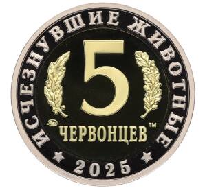 Монетовидный жетон 5 червонцев 2025 года ММД «Исчезнувшие виды — Килеск» — Фото №2