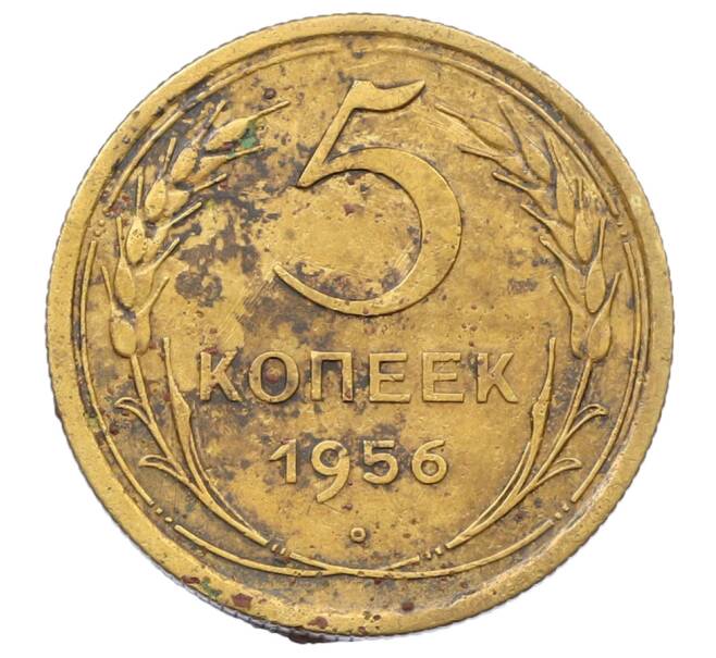 Монета 5 копеек 1956 года (Артикул: K12-72873) — Фото №1