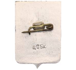 Значок «Герб города Боровичи» — Фото №2