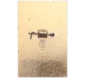 Значок «20 лет ВНИИОЭНГ — Всесоюзный научно-исследовательский институт организации экономики нефти газа» — Фото №2