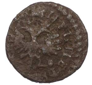 Денга 1712 года — Фото №2