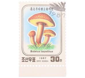 Почтовая марка 30 чон 1987 года Северная Корея «Полубелый гриб» — Фото №1