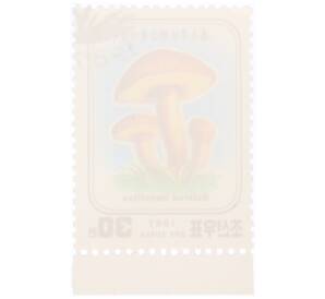 Почтовая марка 30 чон 1987 года Северная Корея «Полубелый гриб» — Фото №2