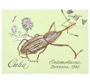 Почтовая марка 1 сентаво 1980 года Куба «Долгоносик (Rhina oblita)» — Фото №1