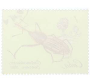 Почтовая марка 1 сентаво 1980 года Куба «Долгоносик (Rhina oblita)» — Фото №2