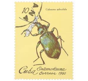 Почтовая марка 1 сентаво 1980 года Куба «Красотел пахучий (Calosoma splendida)» — Фото №1
