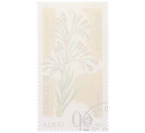 Почтовая марка 60 стотинок 1989 года Болгария «Риндера зонтичная» — Фото №2