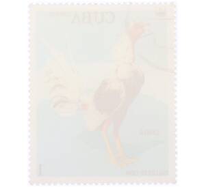 Почтовая марка 1 сентаво 1981 года Куба «Канело (Gallus gallus domesticus)» — Фото №2