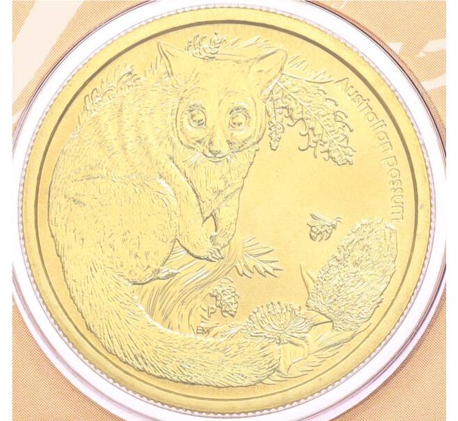 Монета 1 доллар 2013 года Австралия «Детеныши диких животных — Поссум» (в конверте с маркой) (Артикул: M2-91360) — Фото №1