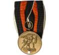 Медаль 1938 года Германия «В честь присоединения Судетской области к Германии» (Артикул: K2-0735) — Фото №1