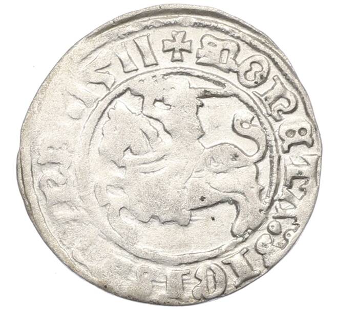Монета Полугрош 1511 года Литва — Сигизмунд I (Артикул: K2-0742) — Фото №1