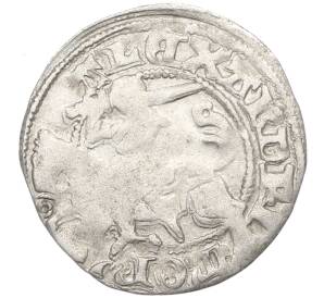 Полугрош 1492-1506 года Литва — Александр Ягеллончик — Фото №1