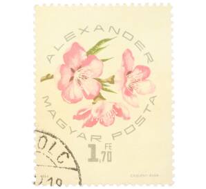Почтовая марка 1.7 форинта 1964 года Венгрия «Экспозиция абрикосов — Александэр»