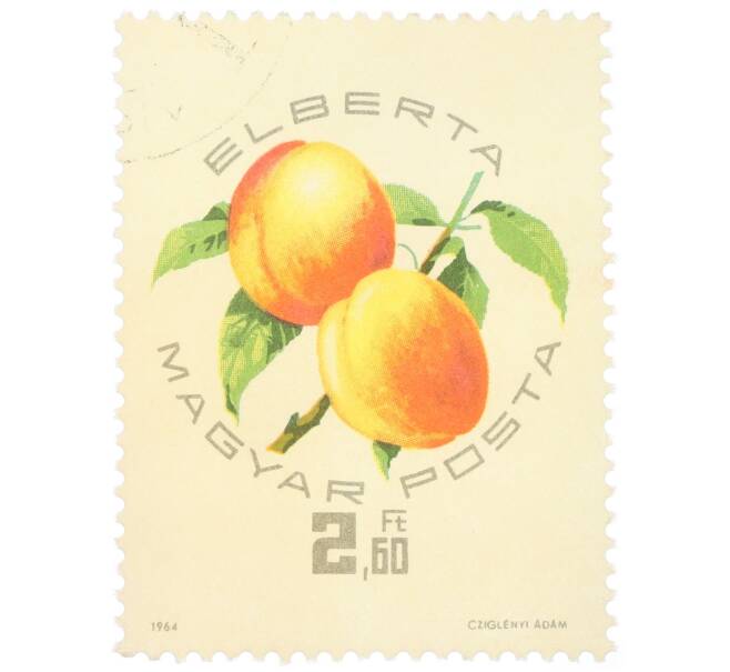 Почтовая марка 2.6 форинта 1964 года Венгрия «Экспозиция абрикосов — Элберта» (Артикул: K12-73358) — Фото №1