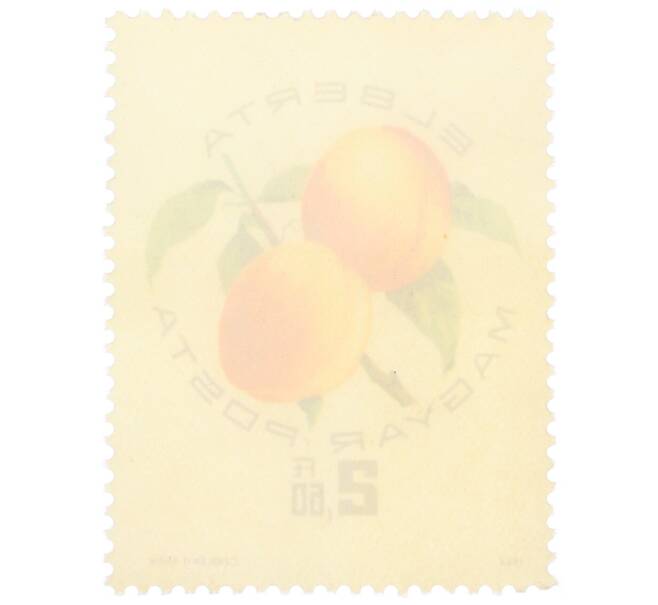 Почтовая марка 2.6 форинта 1964 года Венгрия «Экспозиция абрикосов — Элберта» (Артикул: K12-73358) — Фото №2