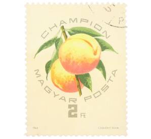 Почтовая марка 2 форинта 1964 года Венгрия «Экспозиция абрикосов — Чемпион»