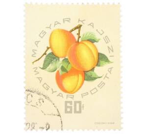 Почтовая марка 60 филлеров 1964 года Венгрия «Экспозиция абрикосов — Борси Роза»