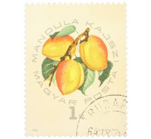 Почтовая марка 1 форинт 1964 года Венгрия «Экспозиция абрикосов — Mandula Kajszi»