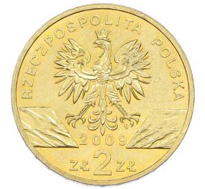 2 злотых 2009 года Польша «Всемирная природа — Зеленая ящерица» — Фото №2
