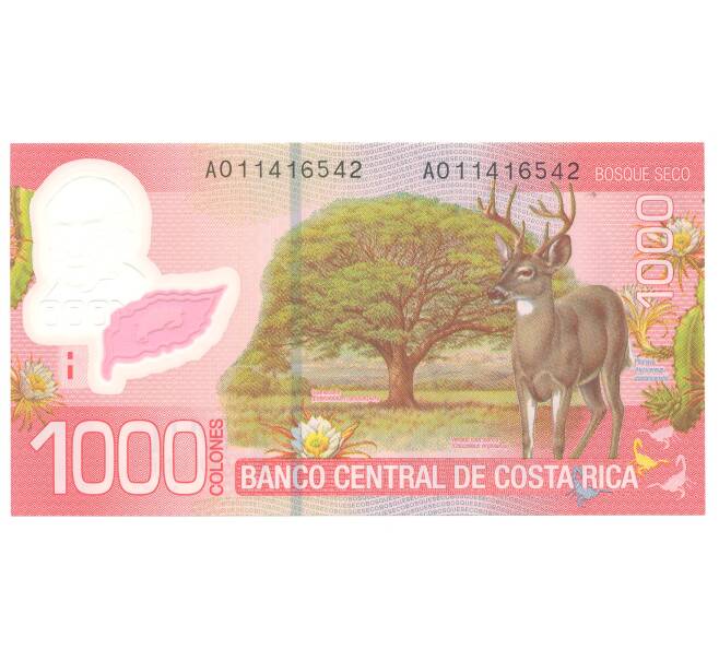 1000 колонов 2009 года Коста-Рика (Артикул B2-4853)
