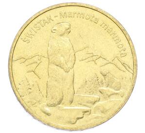 2 злотых 2006 года Польша «Всемирная природа — Сурок» — Фото №1