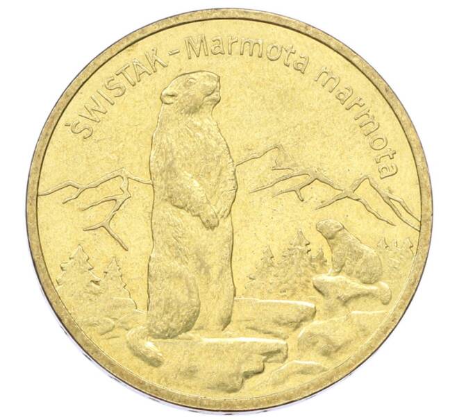 Монета 2 злотых 2006 года Польша «Всемирная природа — Сурок» (Артикул: K10-10095) — Фото №1