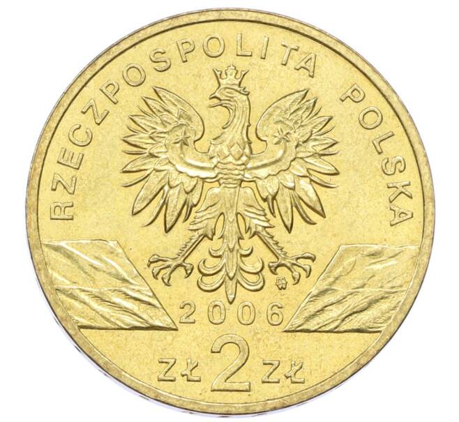 Монета 2 злотых 2006 года Польша «Всемирная природа — Сурок» (Артикул: K10-10095) — Фото №2