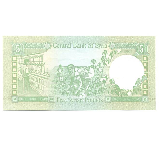 Банкнота 5 фунтов 1991 года Сирия (Артикул B2-4880)