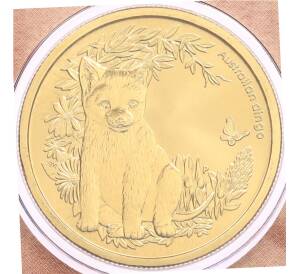 1 доллар 2011 года Австралия «Детеныши диких животных — Динго» (в конверте с маркой) — Фото №1