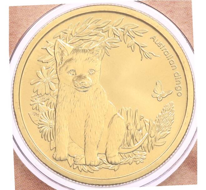 Монета 1 доллар 2011 года Австралия «Детеныши диких животных — Динго» (в конверте с маркой) (Артикул: M2-91326) — Фото №1
