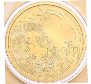 1 доллар 2013 года Австралия «Детеныши диких животных — Ехидна» (в конверте с маркой) — Фото №1