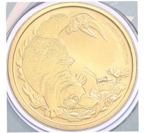 1 доллар 2013 года Австралия «Детеныши диких животных — Утконос» (в конверте с маркой) — Фото №1