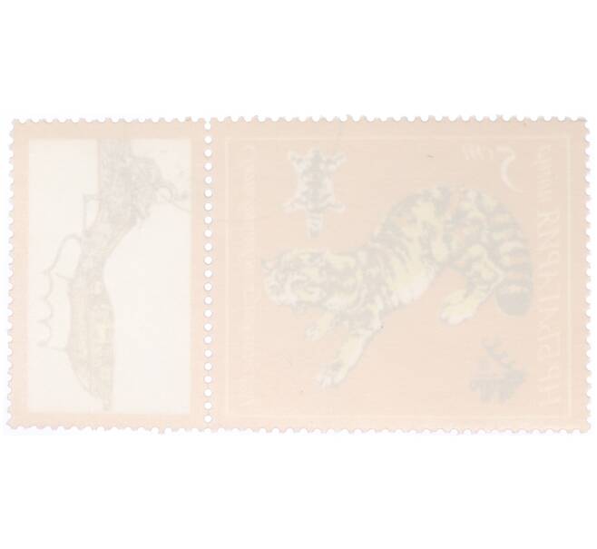 Почтовая марка 5 стотинок 1981 года Болгария «Международная охотничья выставка — Пловдив» (Артикул: K12-73489) — Фото №2