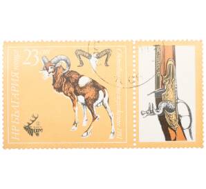 Почтовая марка 23 стотинки 1981 года Болгария «Международная охотничья выставка — Пловдив»