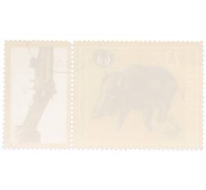 Почтовая марка 13 стотинок 1981 года Болгария «Международная охотничья выставка — Пловдив»