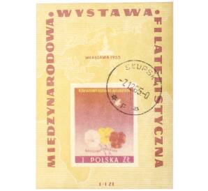 Почтовая марка 1 злотый 1955 года Польша «Международный фестиваль молодежи — Варшава»