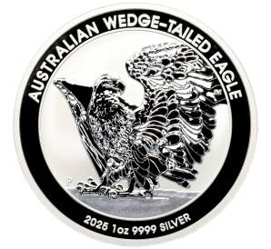 1 доллар 2025 года Австралия «Австралийский клинохвостый орел» — Фото №1