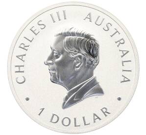 1 доллар 2025 года Австралия «Австралийский клинохвостый орел» — Фото №2