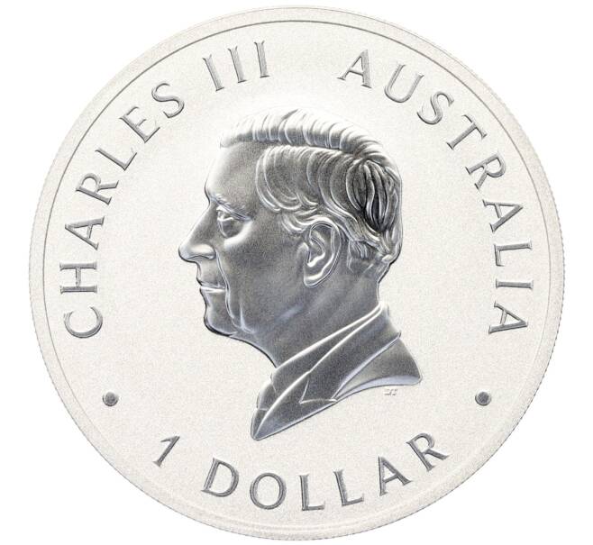 Монета 1 доллар 2025 года Австралия «Австралийский клинохвостый орел» (Артикул: M2-91452) — Фото №2