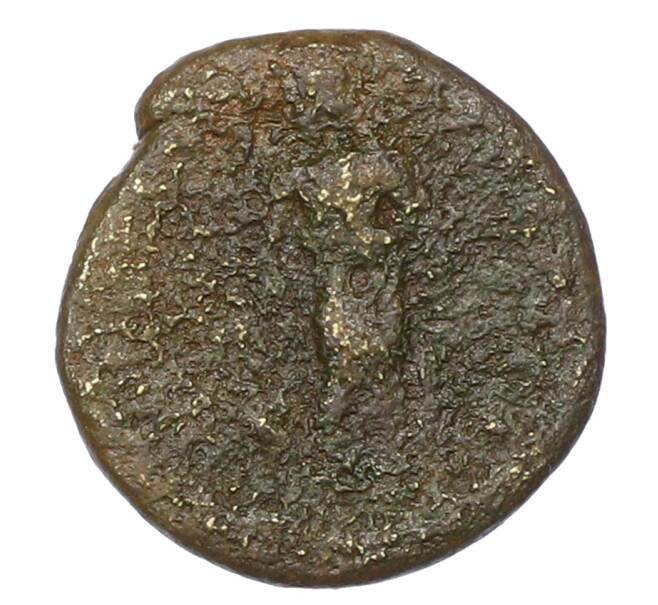 Монета AE4 Римская Империя (Артикул: K12-73526) — Фото №2
