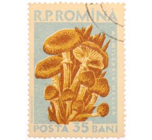 Почтовая марка 35 бани 1958 года Румыния «Грибы — Опёнок осенний (Armillaria mellea)» — Фото №1