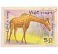 Почтовая марка 50 хао 1981 года Вьетнам «Животные — Жираф (Giraffa camelopardalis)» (Артикул: K8-0435) — Фото №1