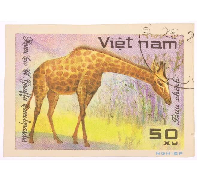 Почтовая марка 50 хао 1981 года Вьетнам «Животные — Жираф (Giraffa camelopardalis)» (Артикул: K8-0435) — Фото №1