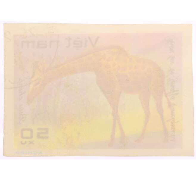Почтовая марка 50 хао 1981 года Вьетнам «Животные — Жираф (Giraffa camelopardalis)» (Артикул: K8-0435) — Фото №2