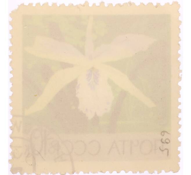 Почтовая марка 10 копеек 1969 года «Московский ботанический сад — Орхидея (Cattleya Hybrid)» (Артикул: K8-0444) — Фото №2